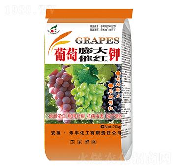 �������߼t�-���S