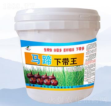 �R������-���S