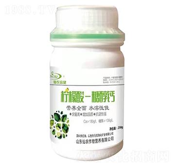 �����ᡤ�Ǵ��}-���r����