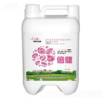 ����100-400-100+TE-���r����