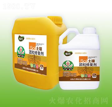 �����F���ޏ�(f��)��-����-�f���_