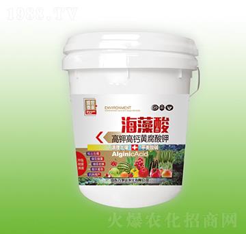 ������-ʢ��̩��-�f���_(d��)