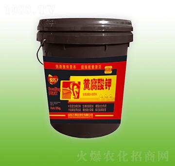 �S�����-����-�f���_(d��)