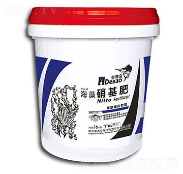 ����������-���Ì�