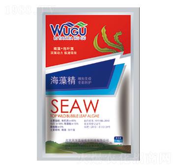 ���徫-�������