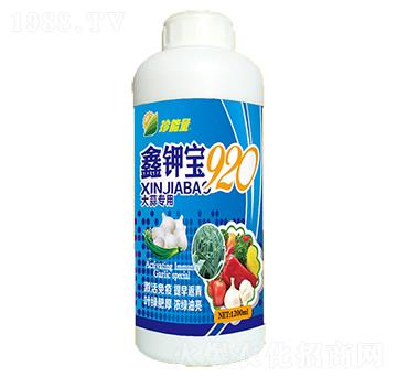 ���⌣(zhu��n)��-��⛌�920-������-���A����