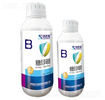 �Ǵ���-���w��(l��)-���A����