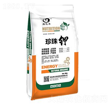 �����-�ƃ|�S-�G����