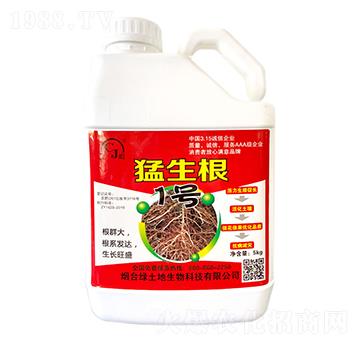 ������1̖(h��o)-�G����