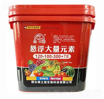 �Ҹ�����Ԫ��120-100-300+TE-�G����