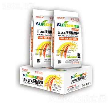 ���������S��ֲ���-ꖹ�ʘI(y��)