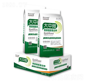 ����΢�S��ֲ�������-ꖹ�ʘI(y��)