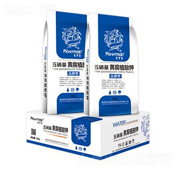 �������S��ֳ���-���_��-ꖹ�ʘI(y��)