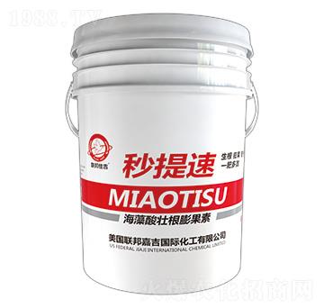 ������Ѹ������-������-��μ�