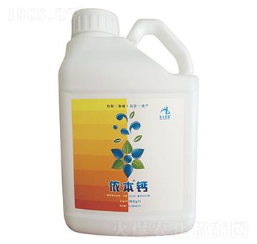 �z���}-�z���r�I(y��)