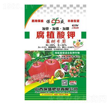 ���\���V�������(sh��)��(zhu��n)�ø�ֲ���-��ʢ�ʘI(y��)