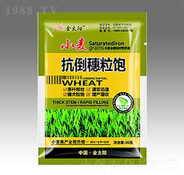 С�����������-��̫ꖷʘI(y��)