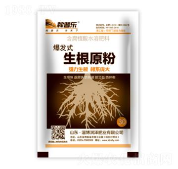 ���l(f��)ʽ����ԭ��-���՘�-���ɷʘI(y��)