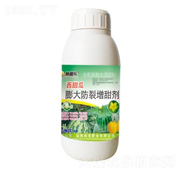 �����������������-���՘�-���ɷʘI(y��)