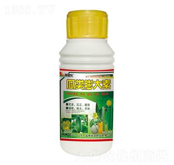 ��������-���՘�-���ɷʘI(y��)