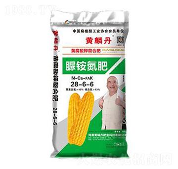 ���@����28-6-6-�S�׵�