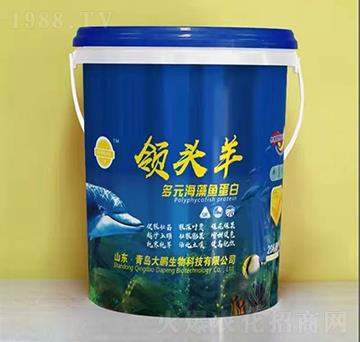 ��Ԫ�����~����-�I(l��ng)�^��-���i����