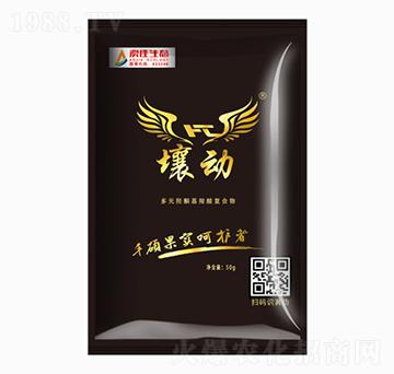 ����(d��ng)FT(���w)-�ļ����B(t��i)