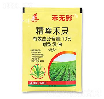 10%��୺��`-�̟oӰ-ϲ�S��