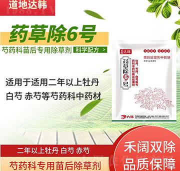 ��ˎ�Ƴ��݄�-��ˎ�����-��ˎ�ƌ���-ˎ�ݳ�6̖-���n