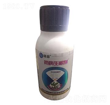 ����������-����