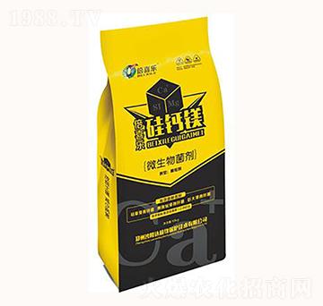 ΢�������-��ϲ�����}�V-ɳ¡�_