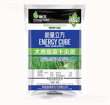 ���[�²˸ɼ��`-���λ���