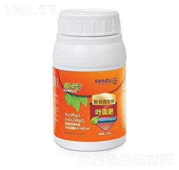 ����͏�(f��)��΢�����~���-ɭ��