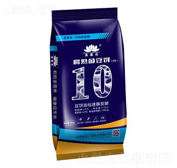 ��������-ɏ֥��