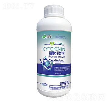 ����������-ؐ������