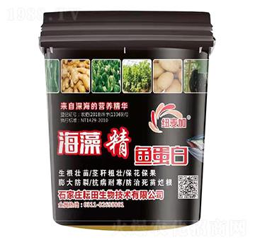 ���徫�~����-�~����-��������