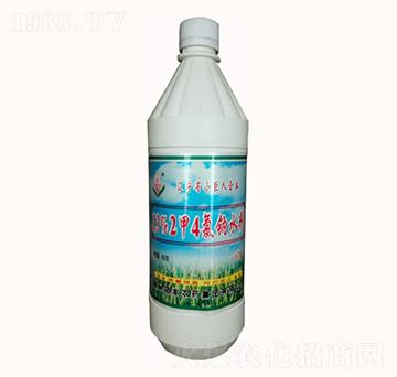 13%���������c-�T�S�rˎ