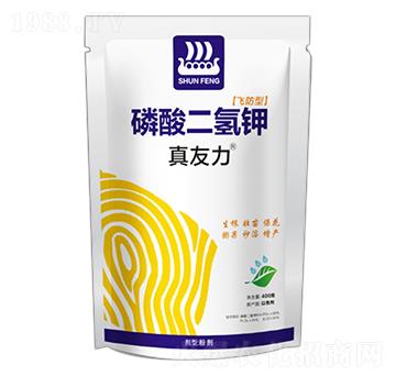 ��������-������-��L(f��ng)�ʘI(y��)