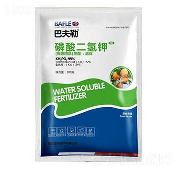 ��������-�ͷ���-�����Z�A