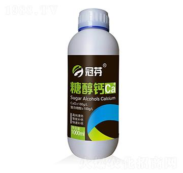 �Ǵ��} �ڷ�