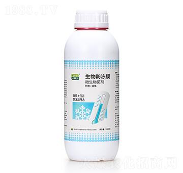 �������Ĥ �˾��� ǧ��ֲ��