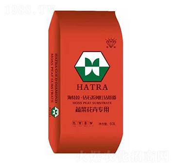 �߲˻��܌��� �@ʯϵ�мt�@���|(zh��) ������