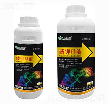 ���ĸҺ �Ƶ�