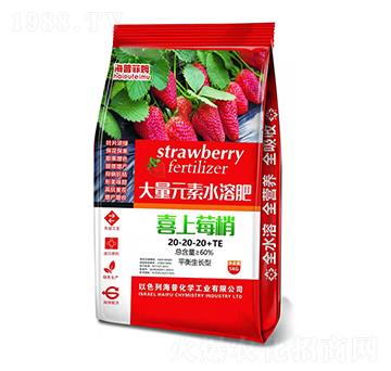 ƽ�����L�ʹ���Ԫ��ˮ�ܷ�20-20-20+TE ϲ��ݮ�� ���ջ��W(xu��)