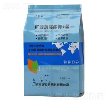 �VԴ�S�����+�� �~����