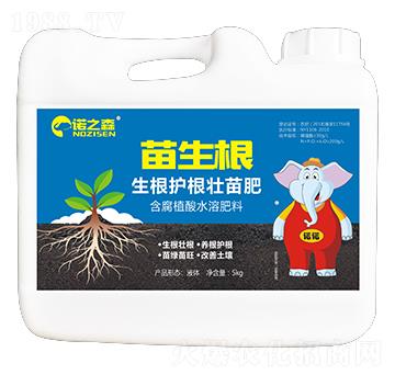 �����o(h��)����� ������ �Z֮ɭ