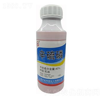 40%������ ������