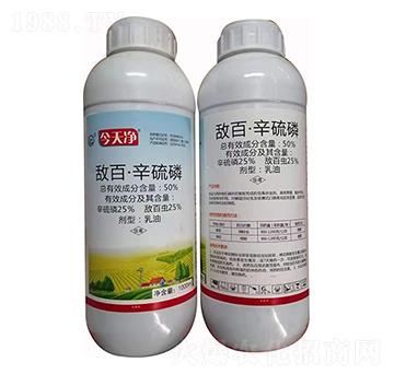 50%���١������� ����� ������