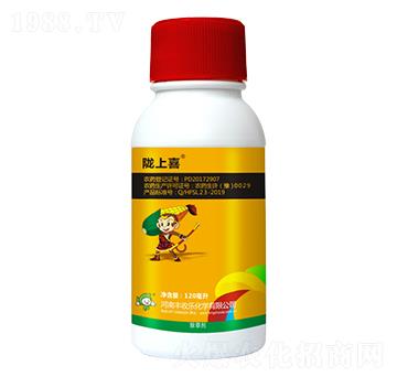 24%����ݬ(��ȫ��)-�]��ϲ-�S�՘�(l��)