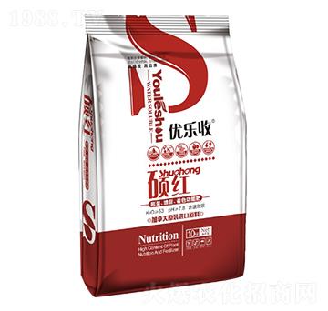 �T�t ��(y��u)��(l��)�� ��󷼌�